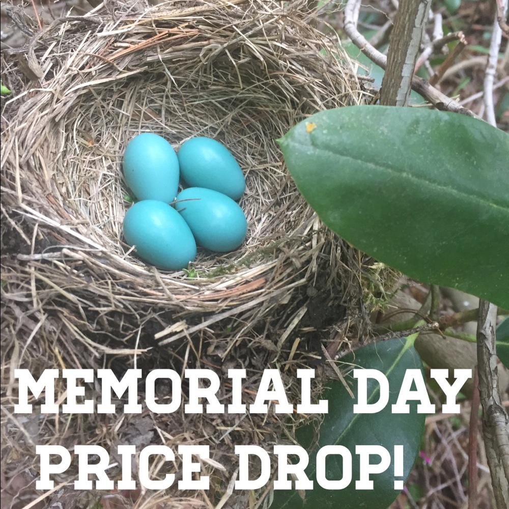 Memorial Day Price drop!